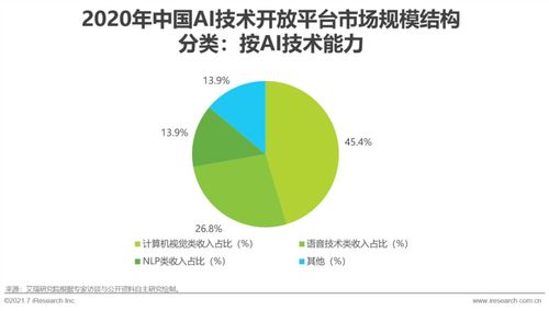 2021年中國人工智能基礎(chǔ)層行業(yè)研究報告 聚焦人工智能基礎(chǔ)軟件開發(fā)