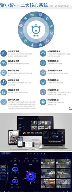 走進軟三·數智企業 廈門工業軟件、智慧養豬、人工智能的頭雁企業探秘